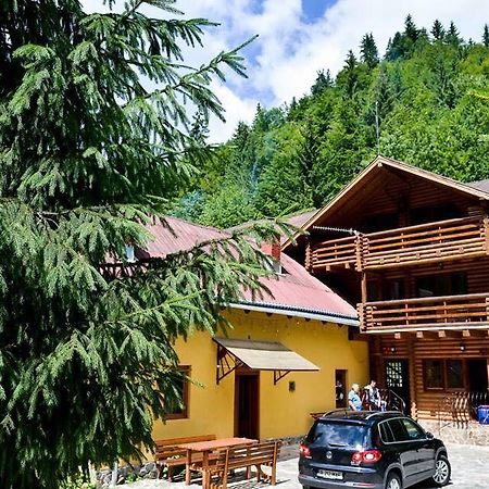 Cabana Bradul Rodna ภายนอก รูปภาพ
