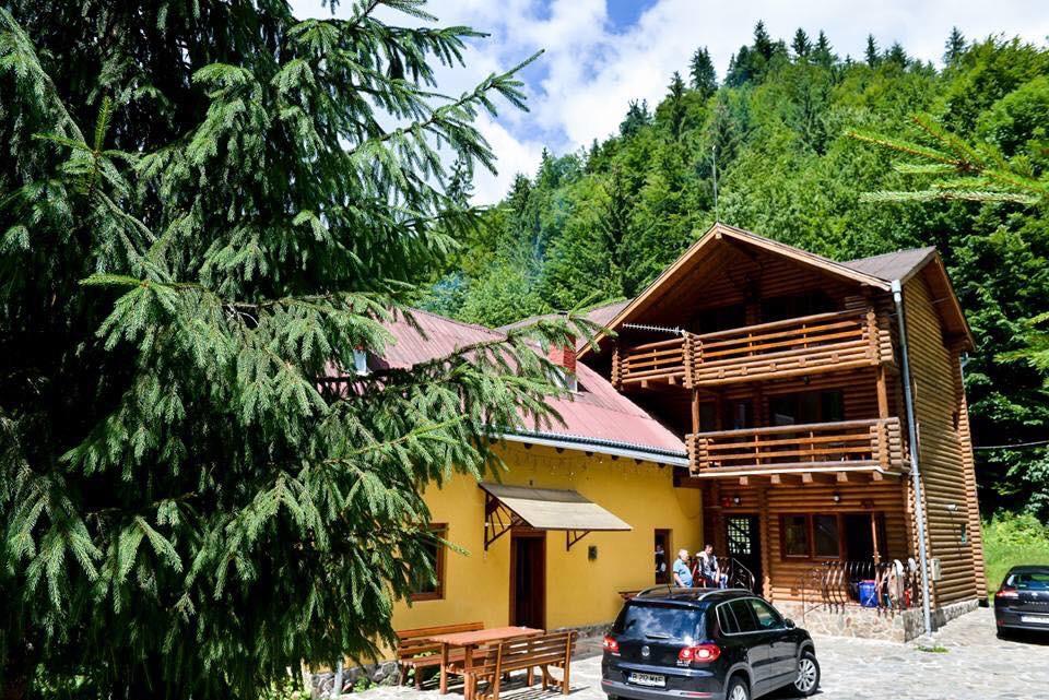 Cabana Bradul Rodna ภายนอก รูปภาพ