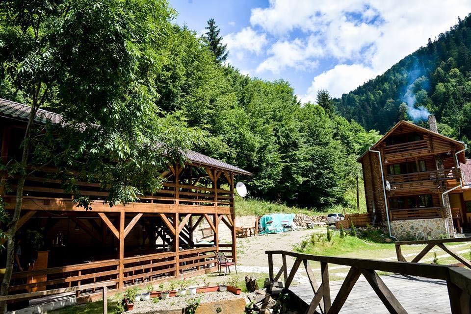 Cabana Bradul Rodna ภายนอก รูปภาพ